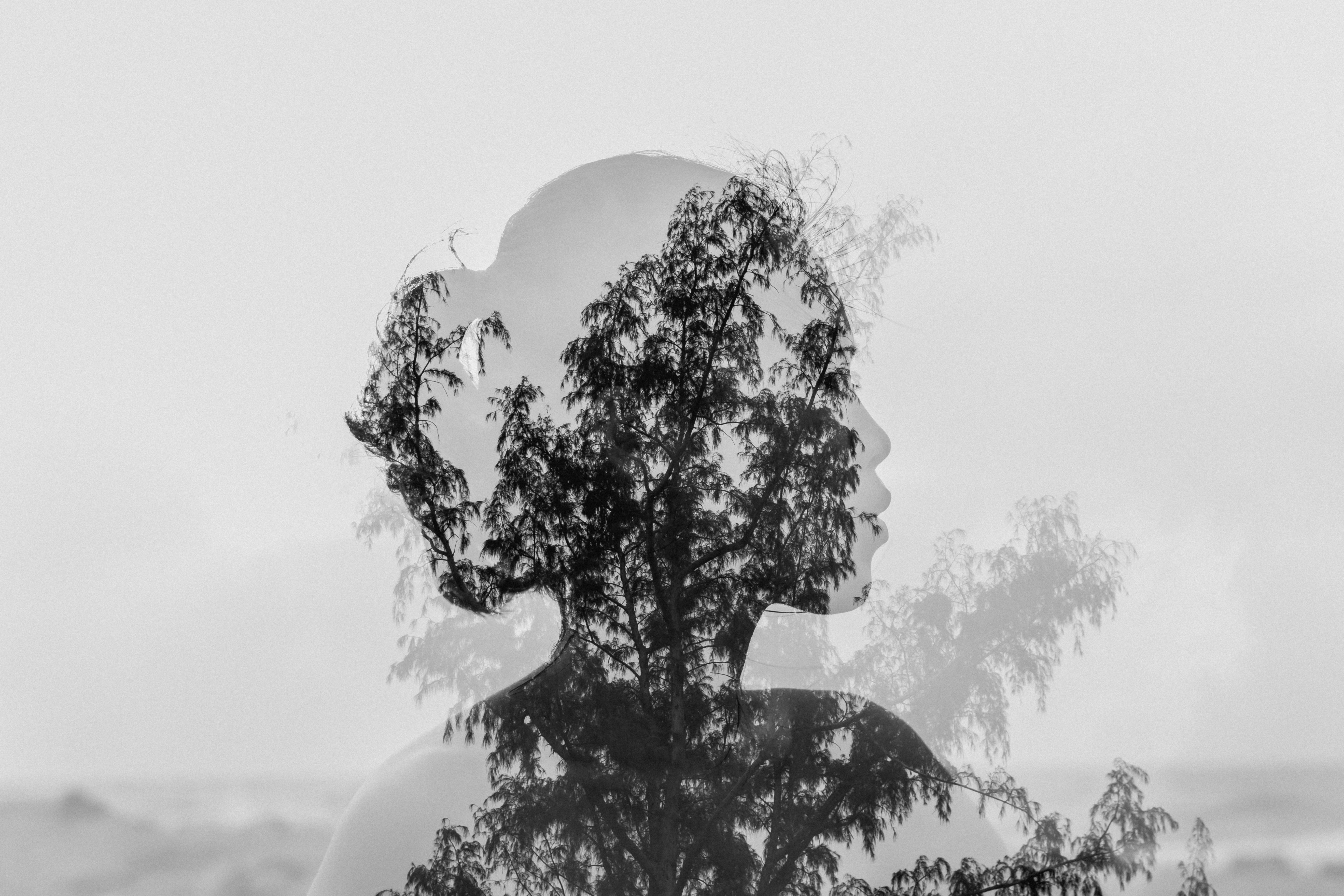 A double-exposure portrait of a woman's silhouette filled with trees and sky