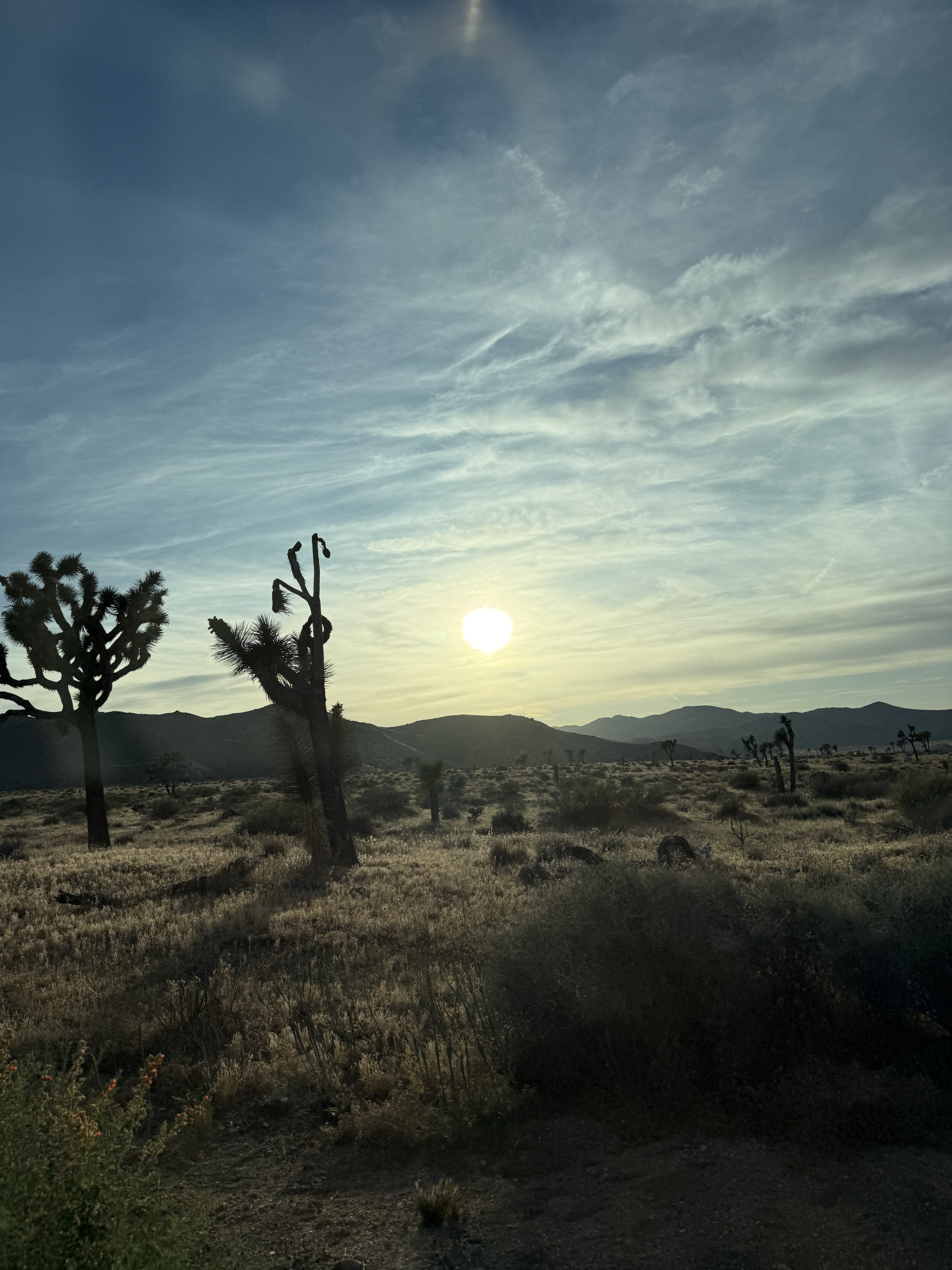 Desert landscape for The Land That Holds Us